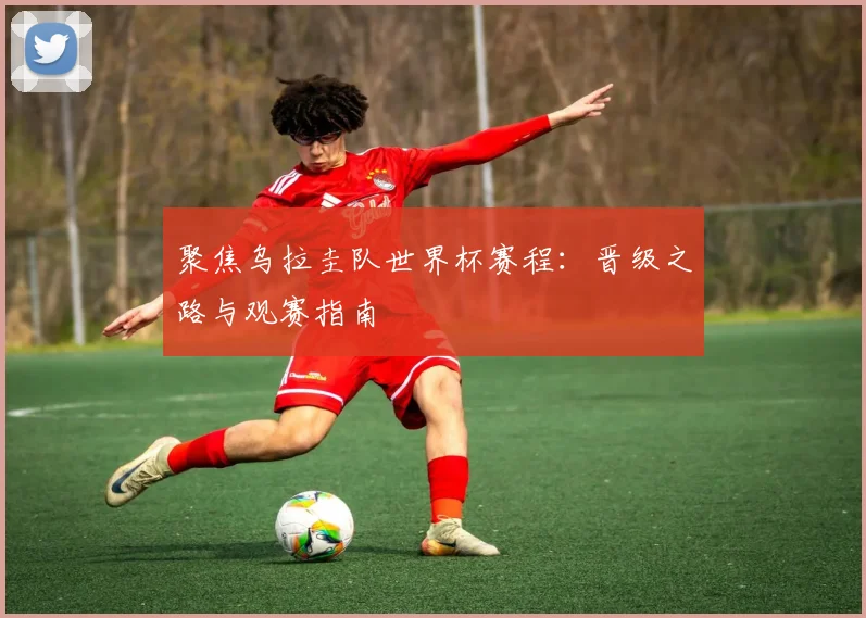 聚焦乌拉圭队世界杯赛程：晋级之路与观赛指南