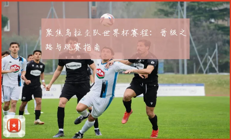 聚焦乌拉圭队世界杯赛程：晋级之路与观赛指南