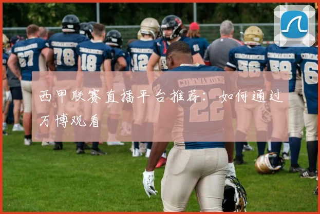 西甲联赛直播平台推荐：如何通过万博观看