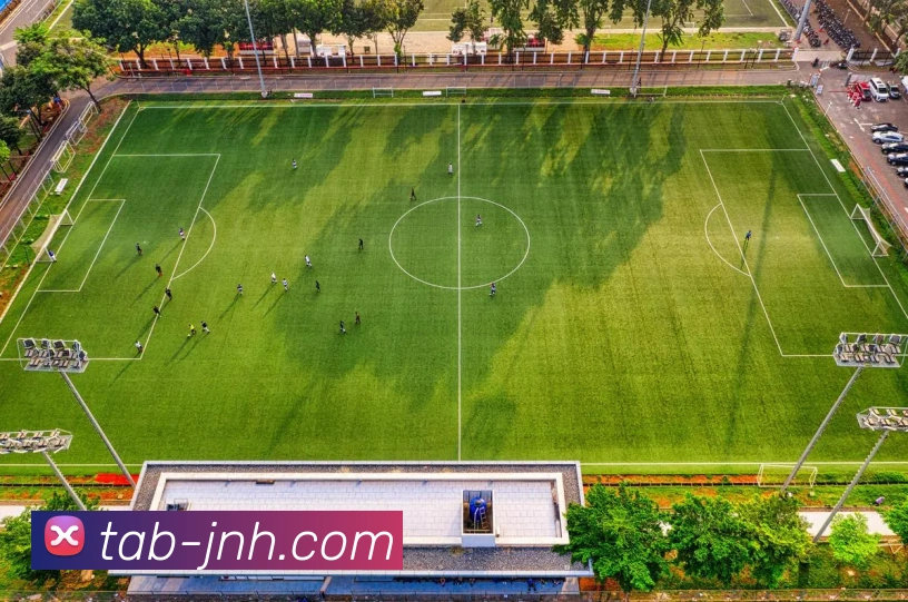 金年会体育平台生态图